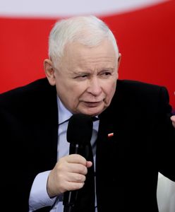 Jarosław Kaczyński znów się popisał. "Dobierają się do pięciolatków"