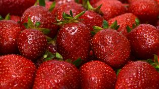 Toksyny w diecie. Lekarz wskazuje konkretne produkty