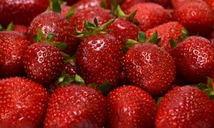 Toksyny w diecie. Lekarz wskazuje konkretne produkty