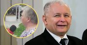 Bronią PiS jak lwy. Kaczyński może być dumny
