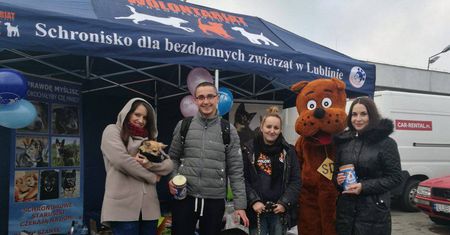 Oto co zebraliśmy i zawieźliśmy do schroniska w Lublinie [zdjęcia]