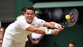 Wimbledon: Powtórka z trawników Queen's Clubu na kortach All England Clubu - Raonić z Murrayem o spełnienie marzeń