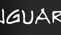 Vanguard PR i Adweb.pl dla Osteomedu