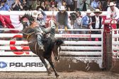 Yvan Jayne. Francuski mistrz rodeo