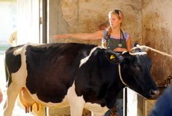 Najgorszy nowy serial wiosny