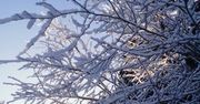 W Bieszczadach 1,5m śniegu