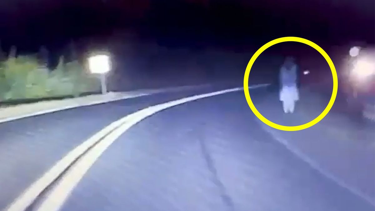 Media obiegło przerażające nagranie z lasu pod Iławą