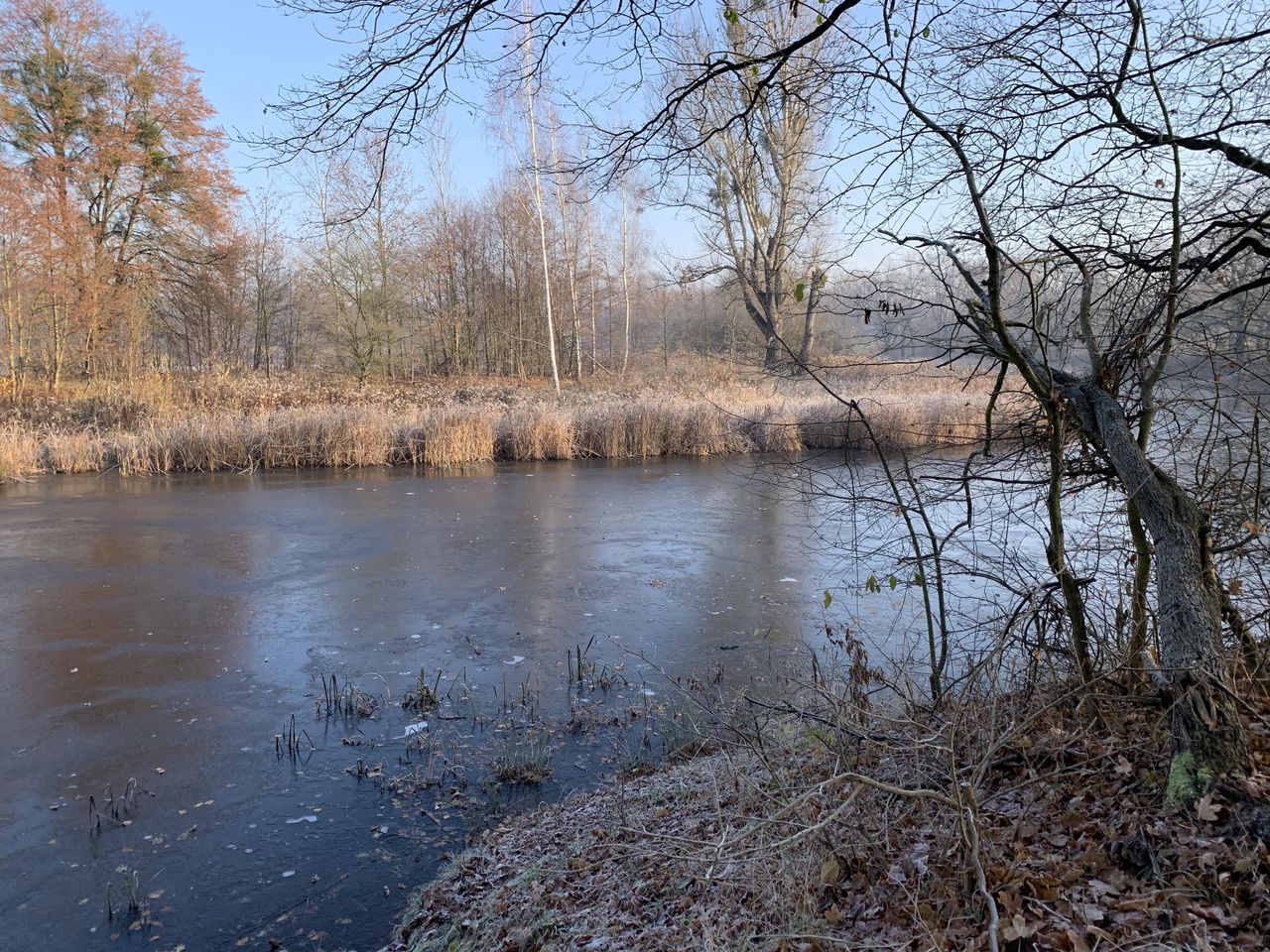 Pogoda. Wrocław. 25 stycznia - deszcz i śnieg na horyzoncie. Uwaga na silny wiatr