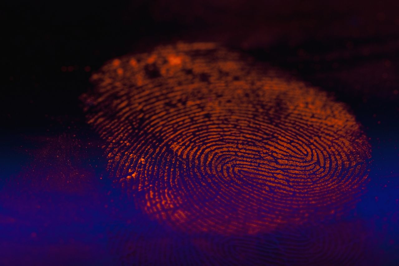 Powstał na Uniwersytecie Gdańskim. Ma pomóc w tropieniu przestępców