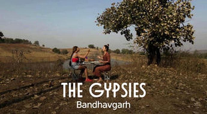 The Gypsies