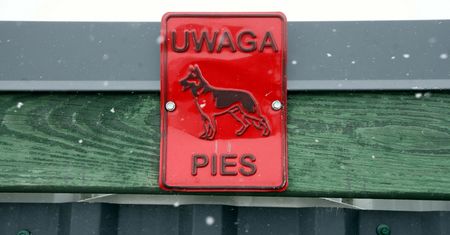 Dramat psów w Kuflewie. Sprawa trafiła do prokuratury
