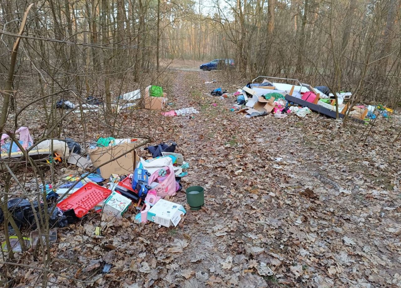 Taki widok w lesie. "Leśniczy Piotr serdecznie pozdrawia"