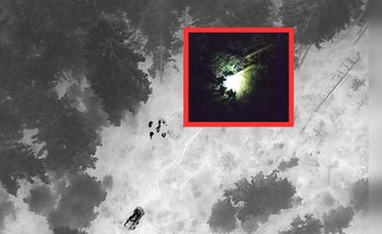 Tragiczny finał grzybobrania. Dron zlokalizował ciało