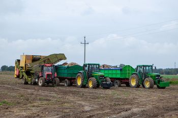 Ruszają wypłaty zaliczek w ramach dopłat bezpośrednich