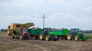 Ruszają wypłaty zaliczek w ramach dopłat bezpośrednich