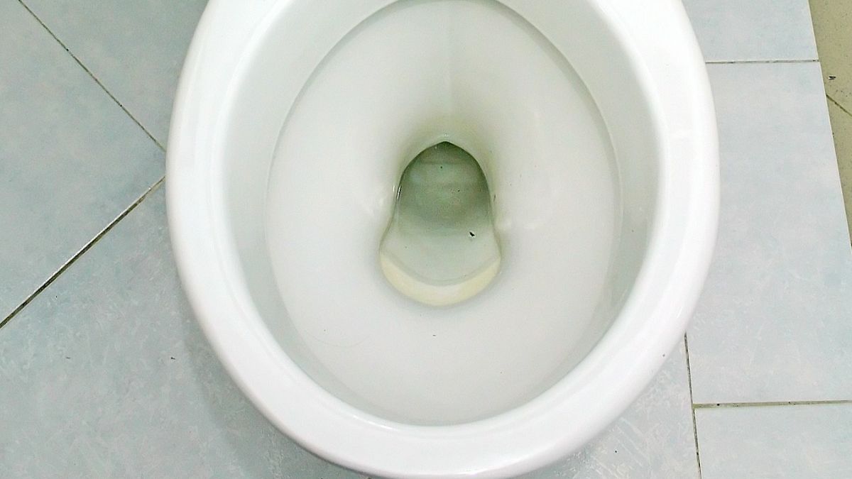 Jak wyczyścić muszlę klozetową?