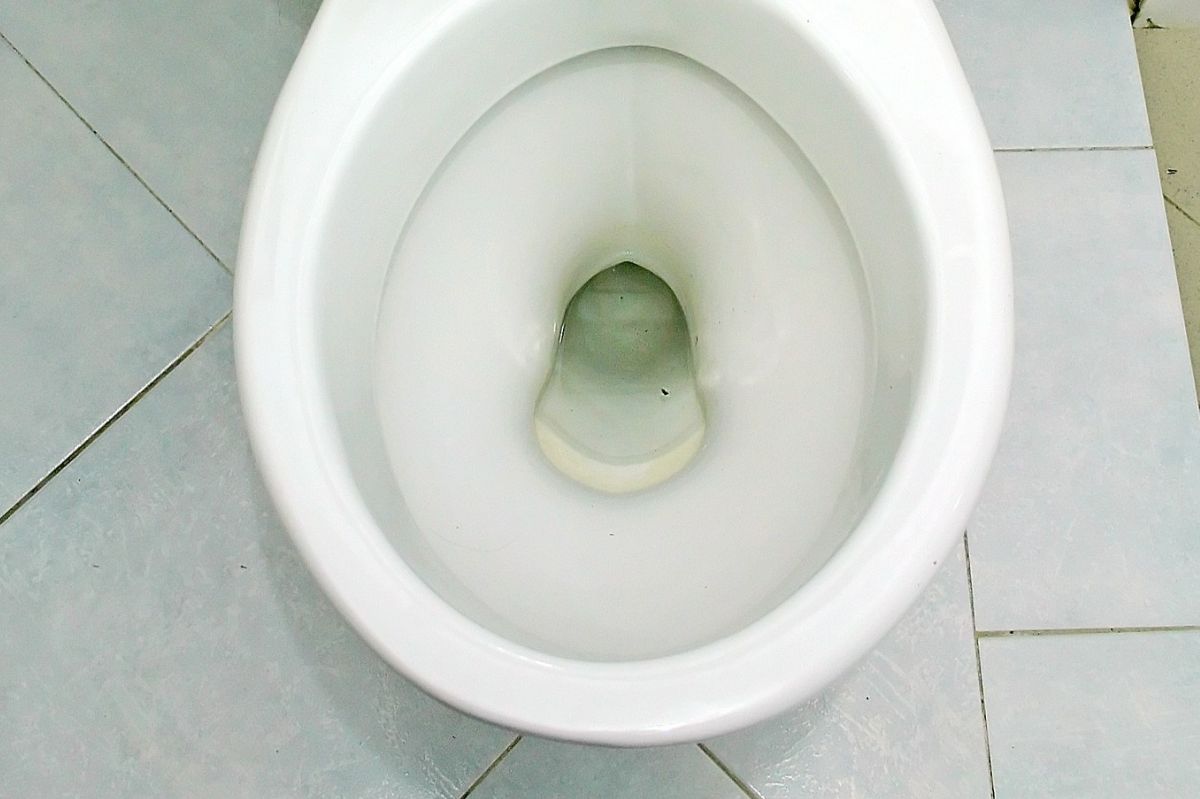 How to clean a toilet bowl?