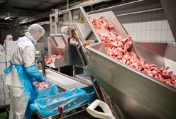 Czechy. Wycofają z obrotu 17,5 tony polskiego mięsa. Zawiera antybiotyki
