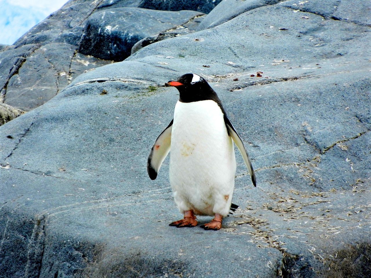 Jak izolować dostęp w środowisku Linux