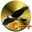 Falcon C++ icon