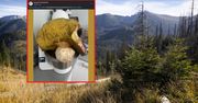 Pokazał wagę borowika. Ten gigant pochodzi z Podhala