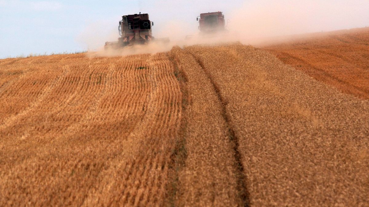 Ceny rolnicze w praktyce. Na czym polegają i czemu służą?