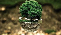 Inicjatywa "Ad Goes Green" wchodzi na plany produkcyjne