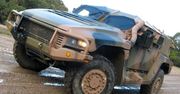Hawkei – jadowity twardziel z Australii [wideo]
