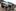 Hawkei – jadowity twardziel z Australii [wideo]