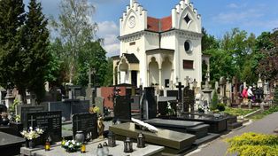 Dają 110 zł. Praca na cmentarzu. Są wymagania ws. wieku