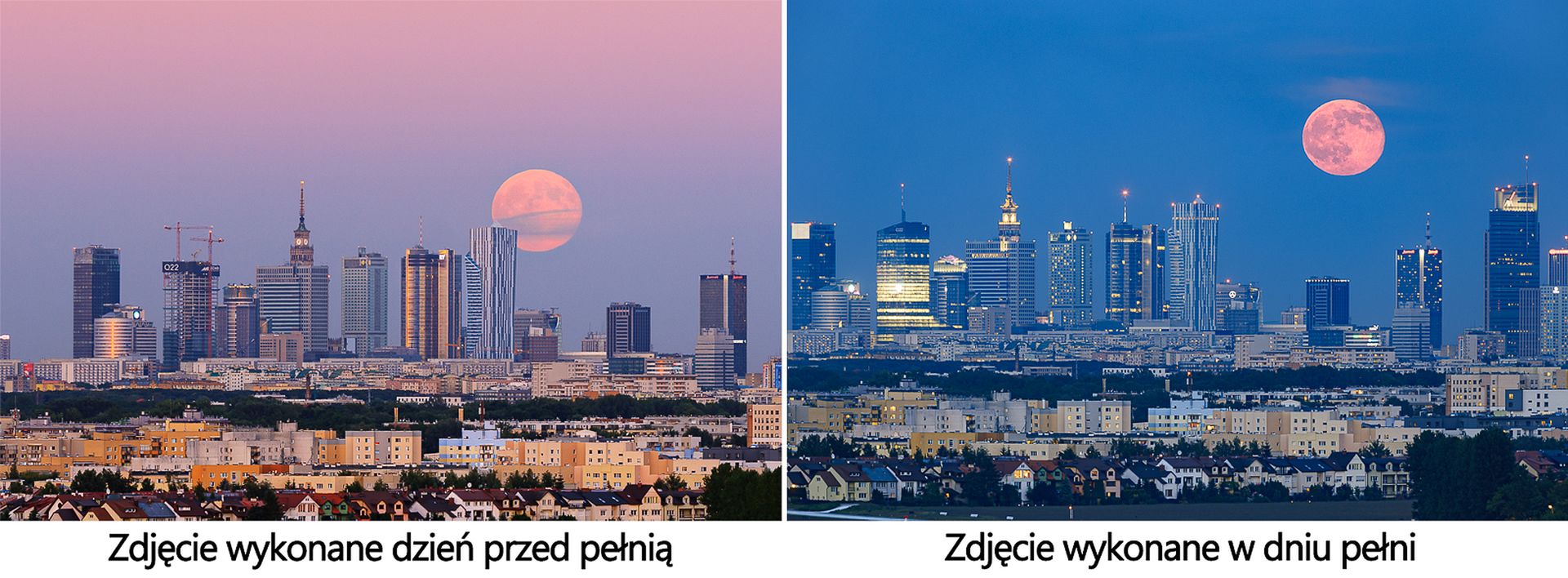 Jak sfotografować "Kwiatowy Księżyc"? [poradnik] 3