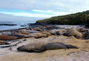 Naukowcy biją na alarm. "Bezprecedensowy spadek populacji"