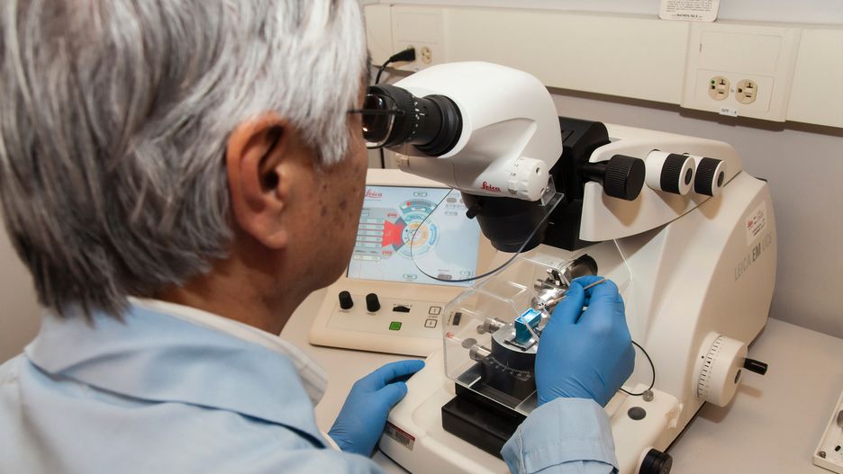 Dzięki klipsowi diagnostyka nowotworów będzie szybsza, obarczona mniejszymi błędami.