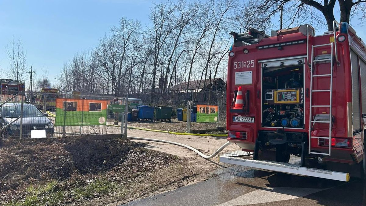 Pożar traw przy schronisku. Ewakuowano psy