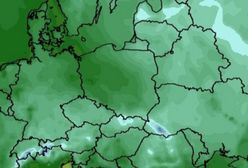 Nawet 8 centymetrów śniegu. Jest najnowsza prognoza pogody