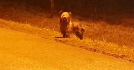 Skandaliczna sytuacja. Wyrzucili go dzień przed Wigilią