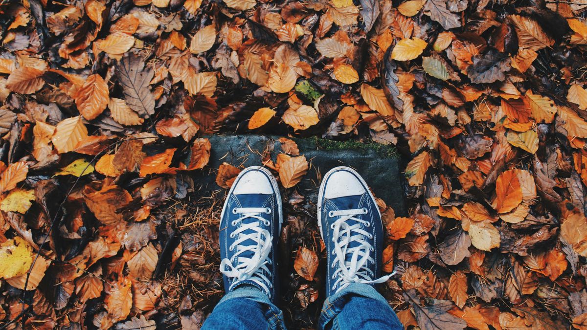 Z końcem weekendu zrobi się znacznie chłodniej