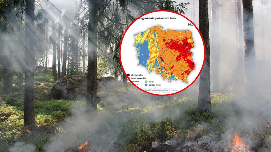 IMGW opublikowało mapkę zagrożenia pożarowego w lasach