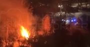 Warszawa: Pożar altany na działkach na Ochocie. Trzeci w ciągu trzech miesięcy