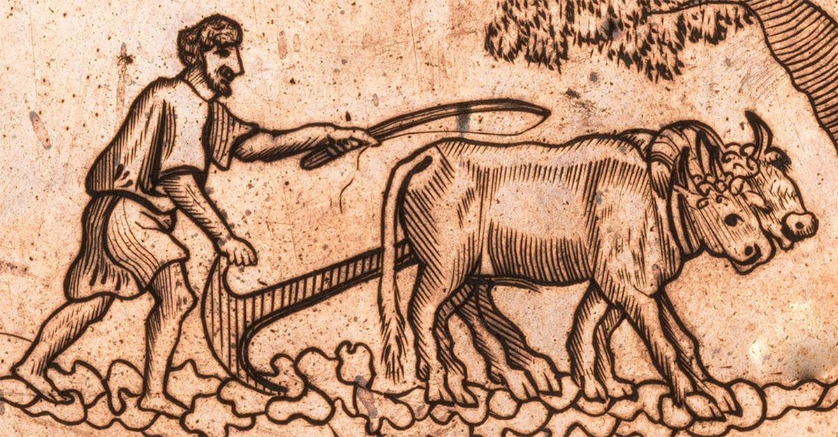 "Orka wołami". Rysunek z litewskiego elementarza z przełomu XVIII i XIX w.