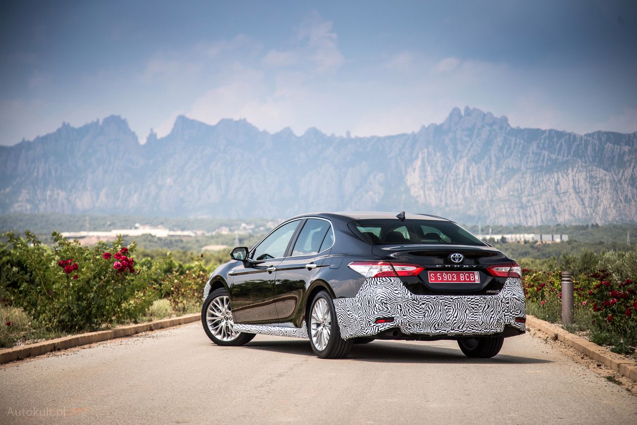 Toyota Camry (2019) (fot. Mateusz Żuchowski)