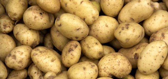 Jak pozbyć  się pestycydów z warzyw i owoców?