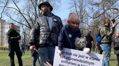 11. rocznica katastrofy smoleńskiej. "Wolni Przedsiębiorcy" przywieźli taczki dla prezesa PiS