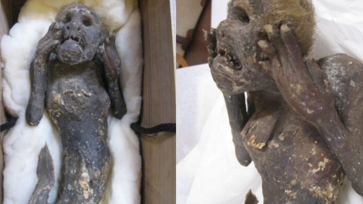 Czym naprawdę jest japońska syrena?