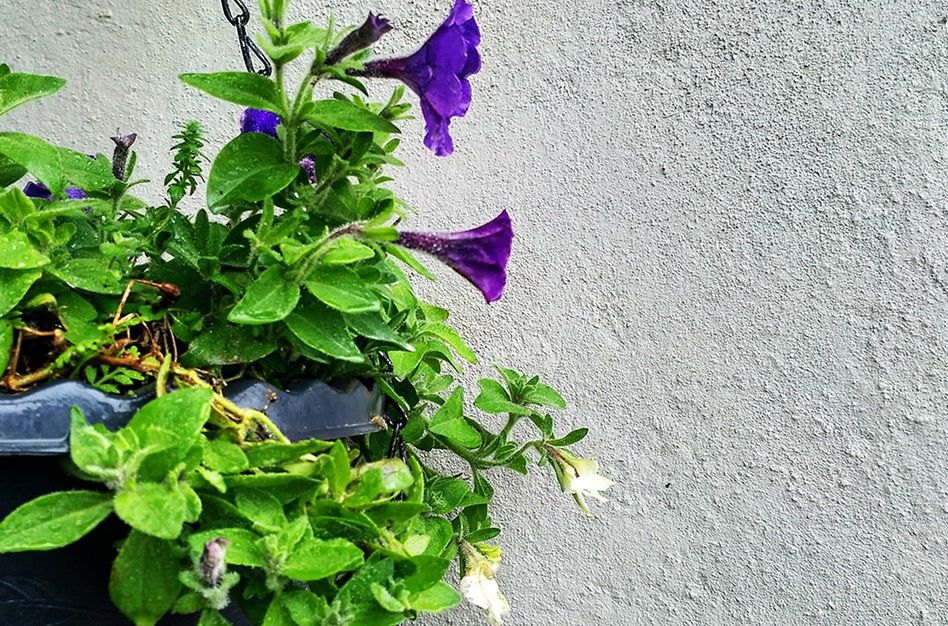 Xiaomi Redmi 3 oficjalnie. To się nazywa dobry stosunek ceny do jakości! 6