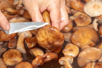 Najgorszy i częsty błąd przy grzybach. Będą nadawać się tylko do kosza