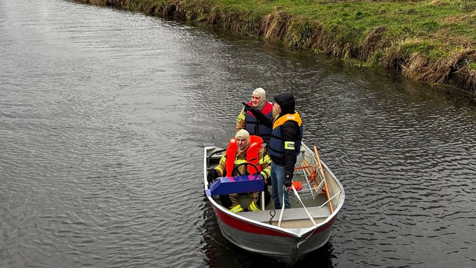 W trakcie poszukiwań