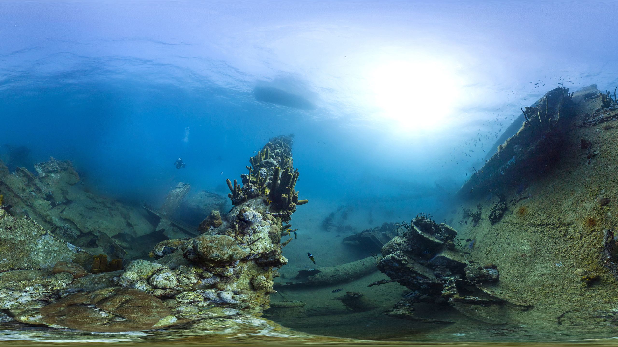 Google Seaview - nurkowanie bez wychodzenia z domu 3
