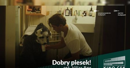 Kino CSK zaprasza na weekendowe pokazy filmu — Dobry piesek!