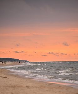Martwy wieloryb na plaży. Dopiero co był zatopiony w Świnoujściu